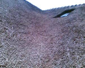 Zonder_planten